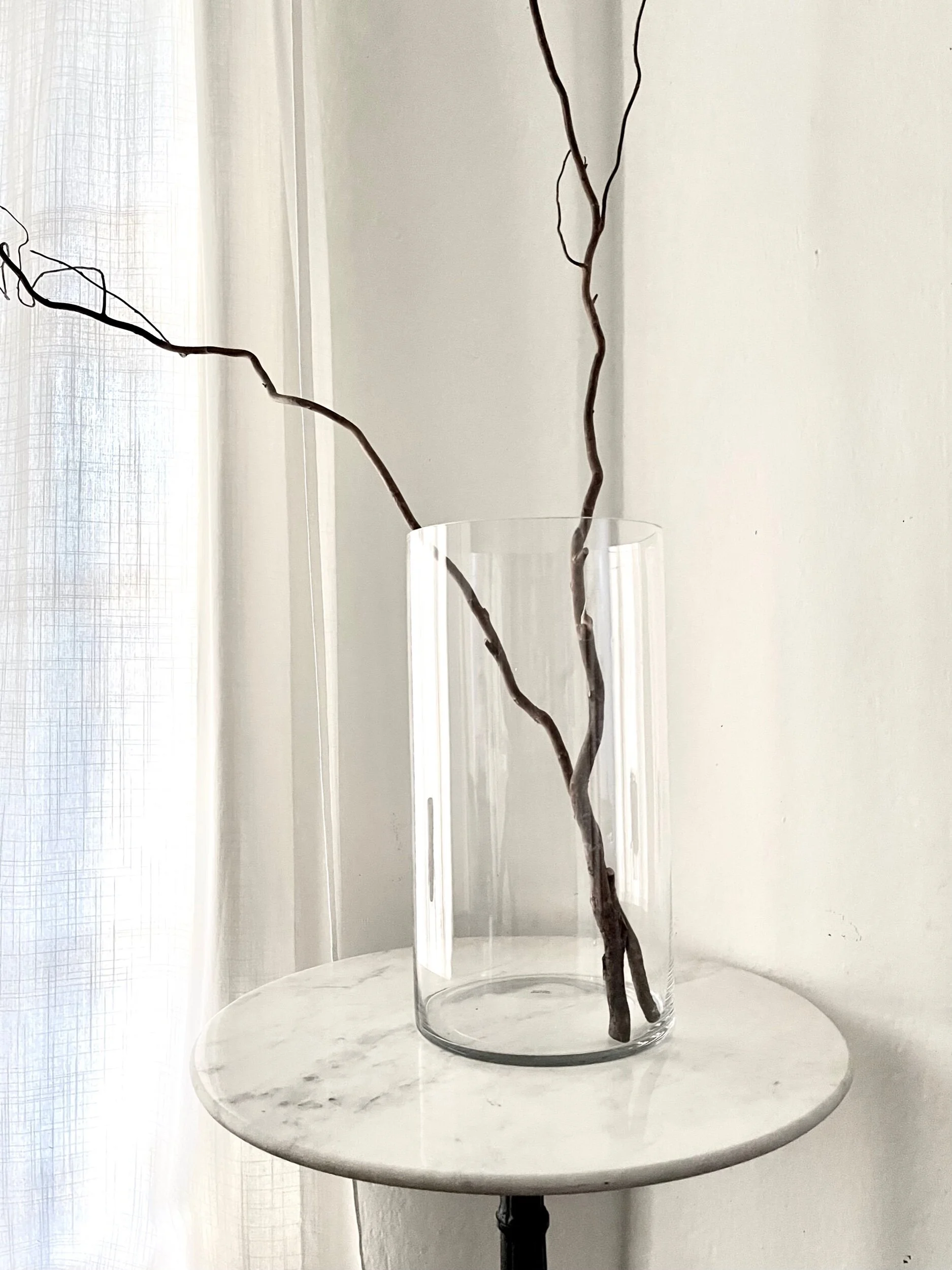 Tall Cylinder Forced Branch Display Glass Vase