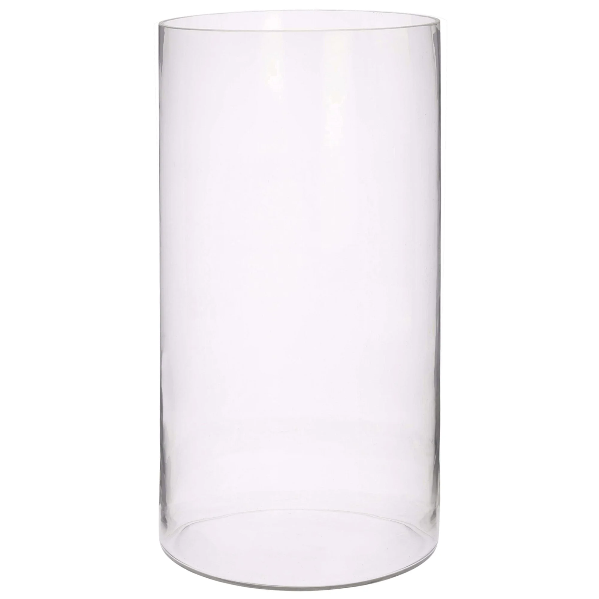 Tall Cylinder Forced Branch Display Glass Vase