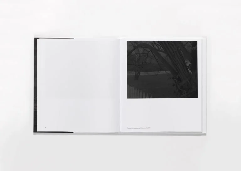 dawoud bey: two american projects