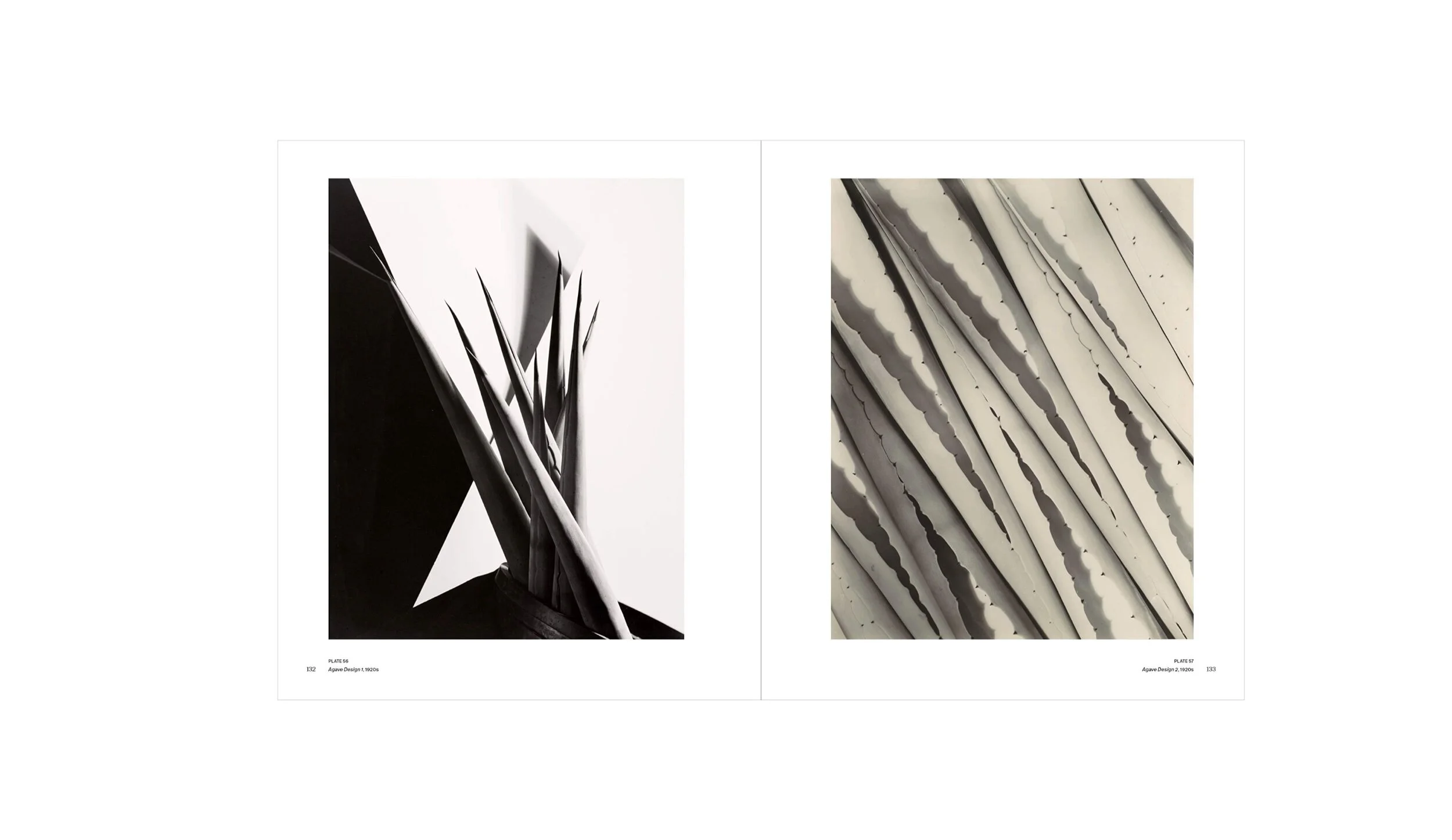 Imogen Cunningham: A Retrospective Book Page