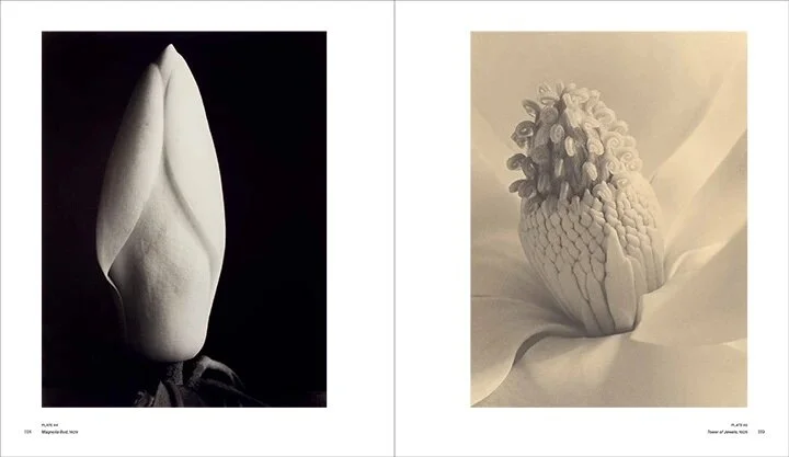 Imogen Cunningham: A Retrospective Book Page