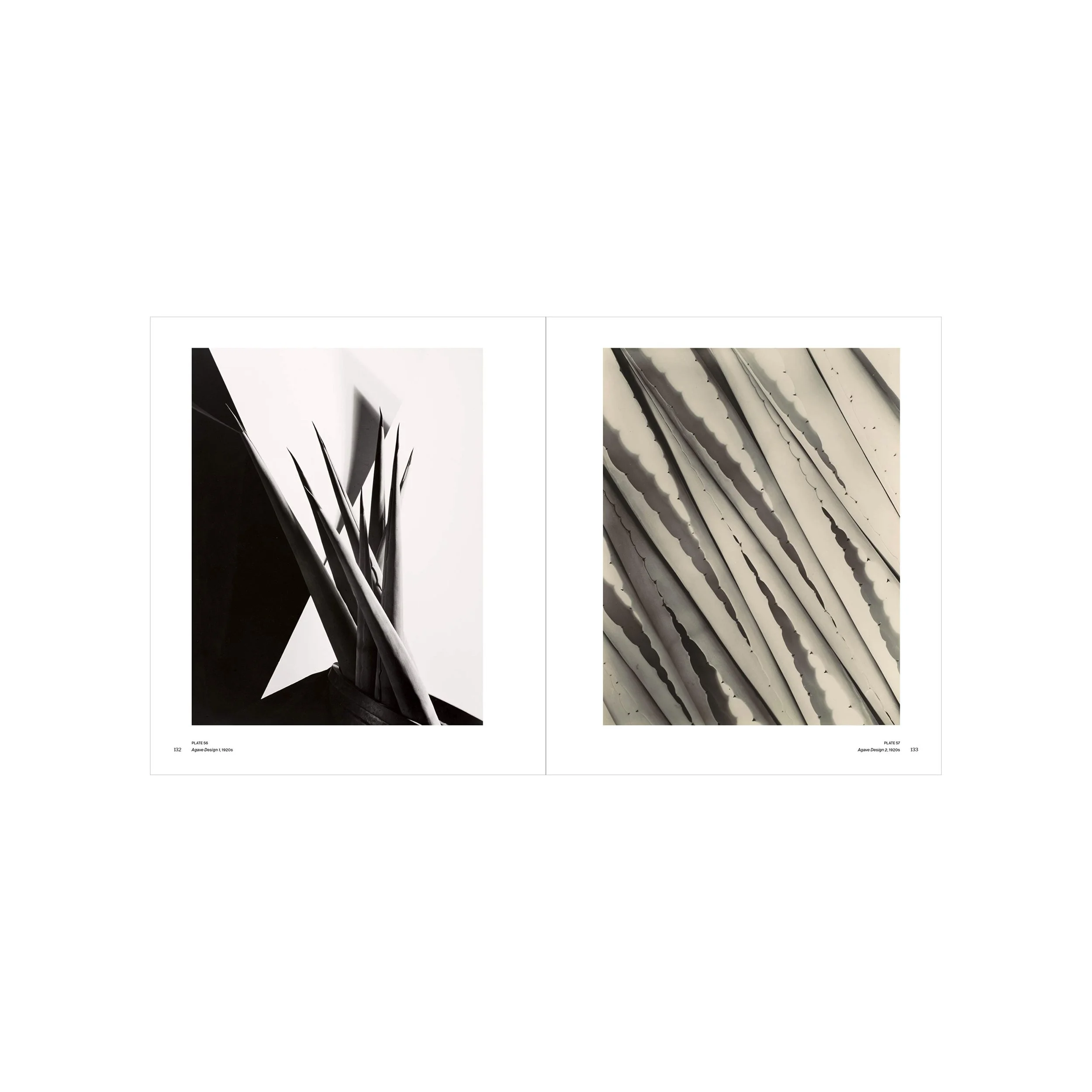 Imogen Cunningham: A Retrospective