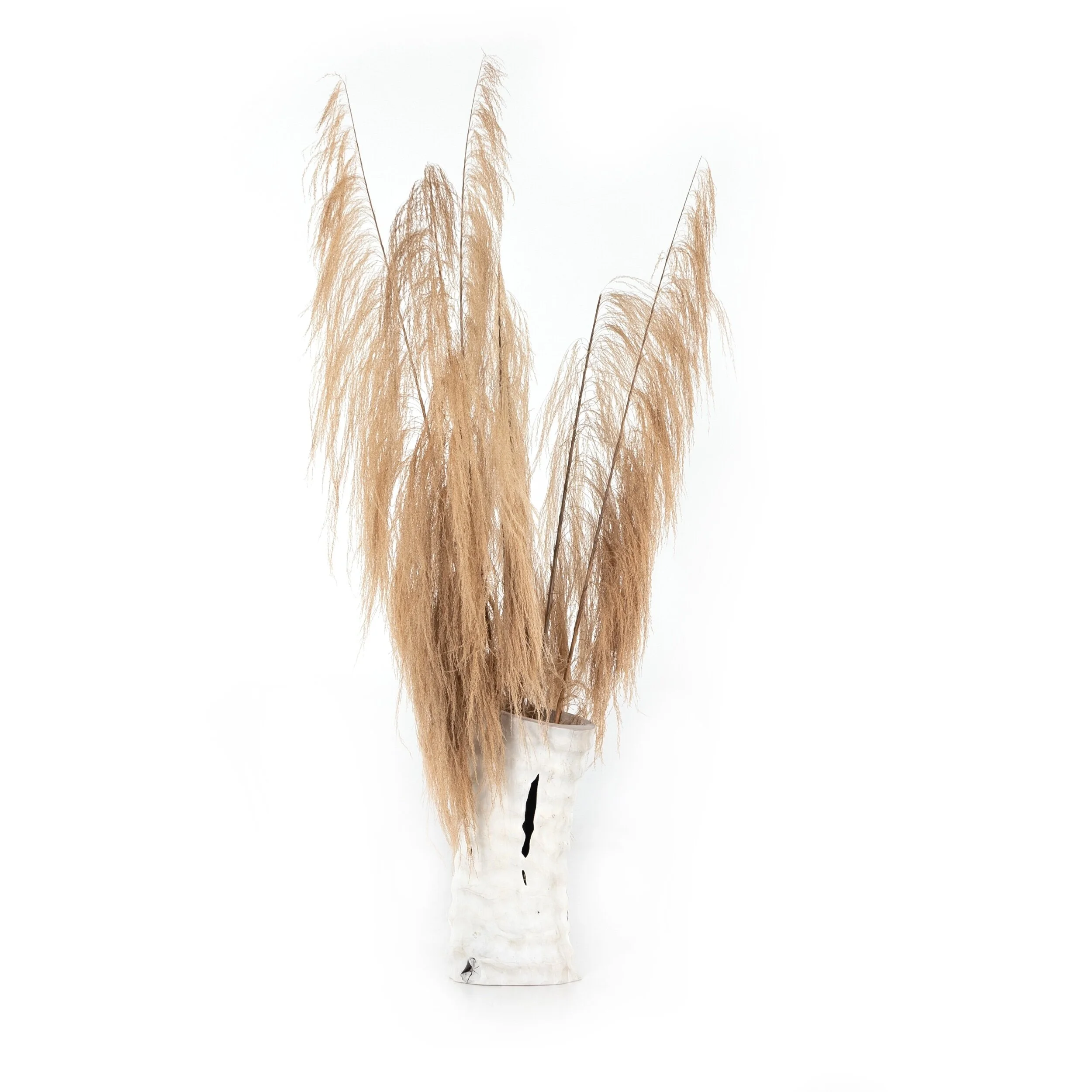 White Mixed Reclaimed Wood Floor Modern Vase Tall Pampas Grass