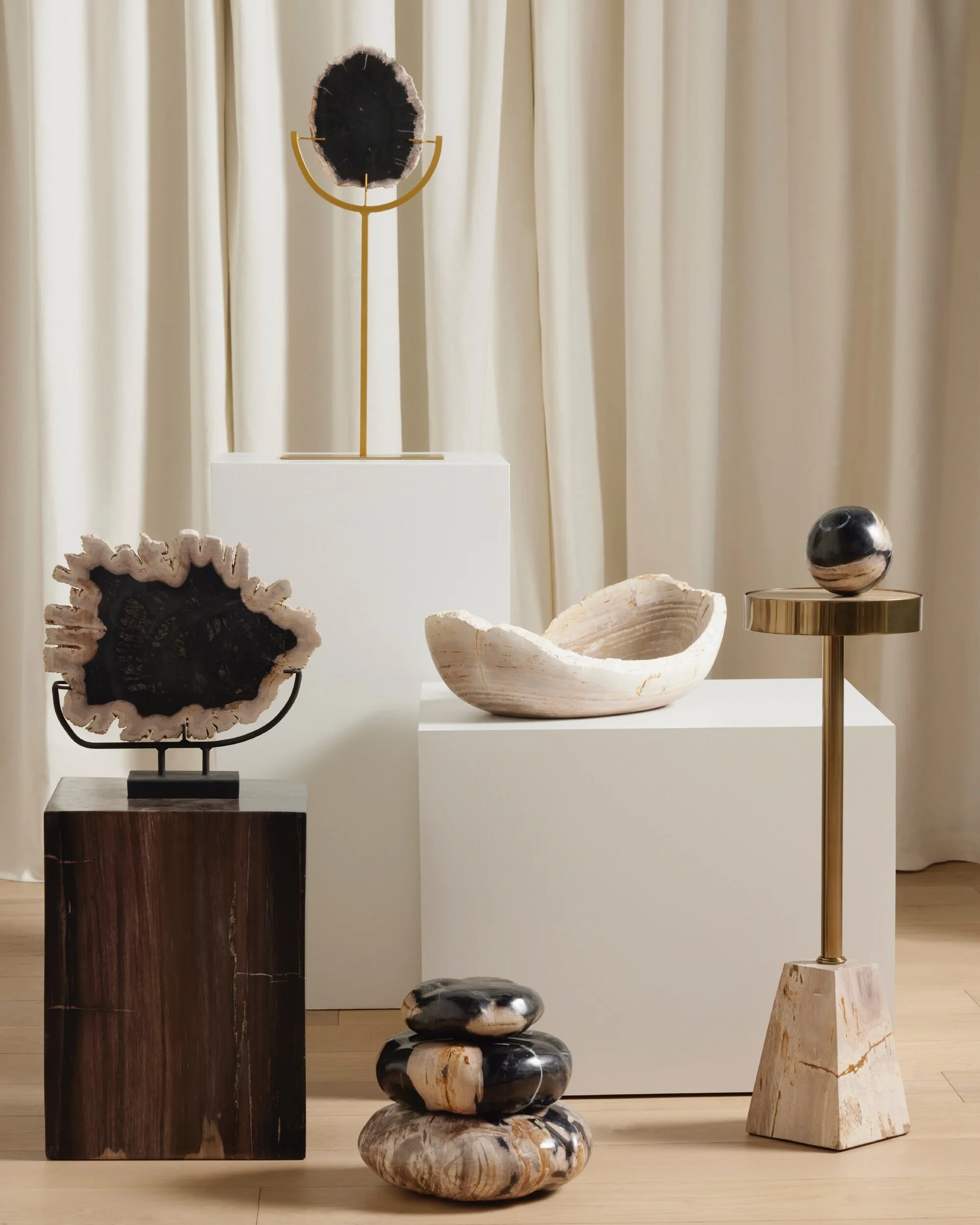 Petrified Wood Organic Modern Sculptures Interior Style Shoot