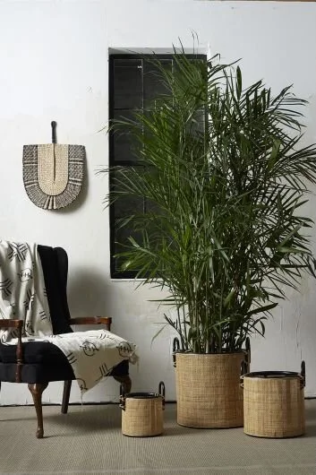 Natural Fiber Plant Baskets Natural Fan Wall Decor Lifestyle Photo