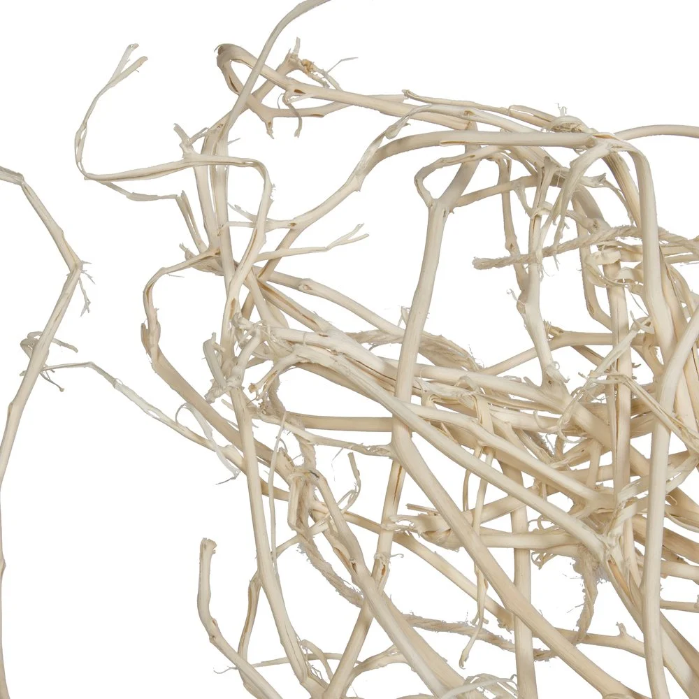 Bleached Begun Tree Branch