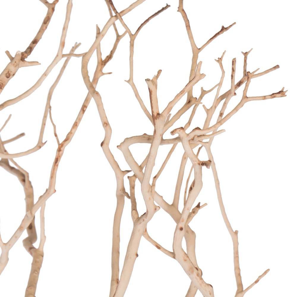 Natural Manzanita Branch