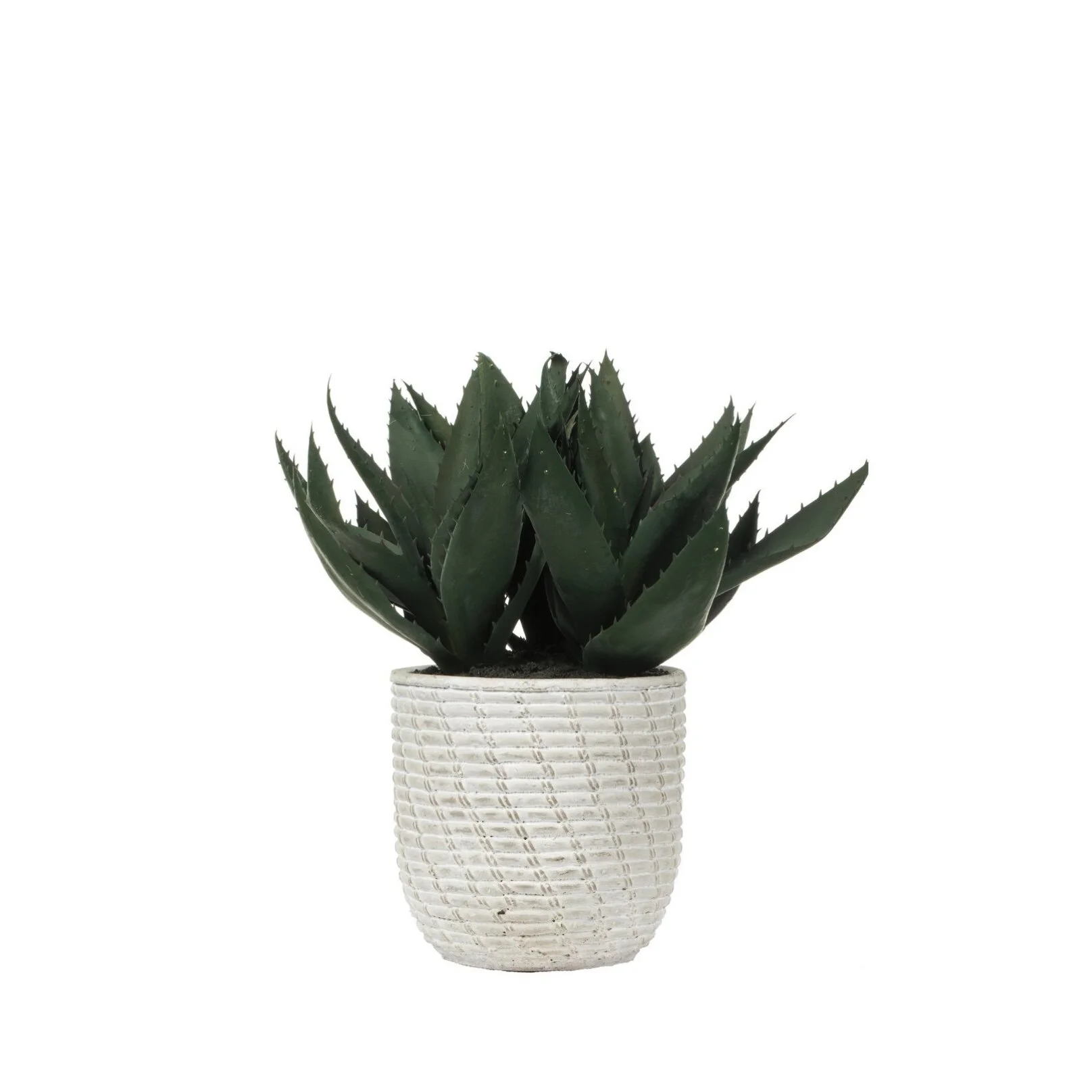 99455AEE-C9B6-4D06-B292-F445DB2F14D2