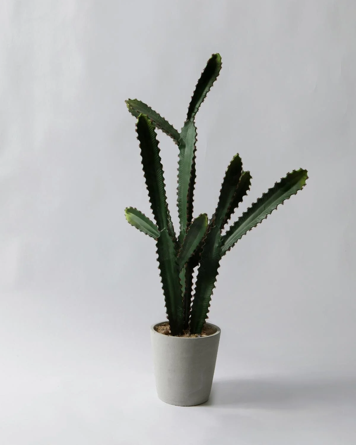 DF29A2D4-45B6-40CC-9C39-FA9469C0F230