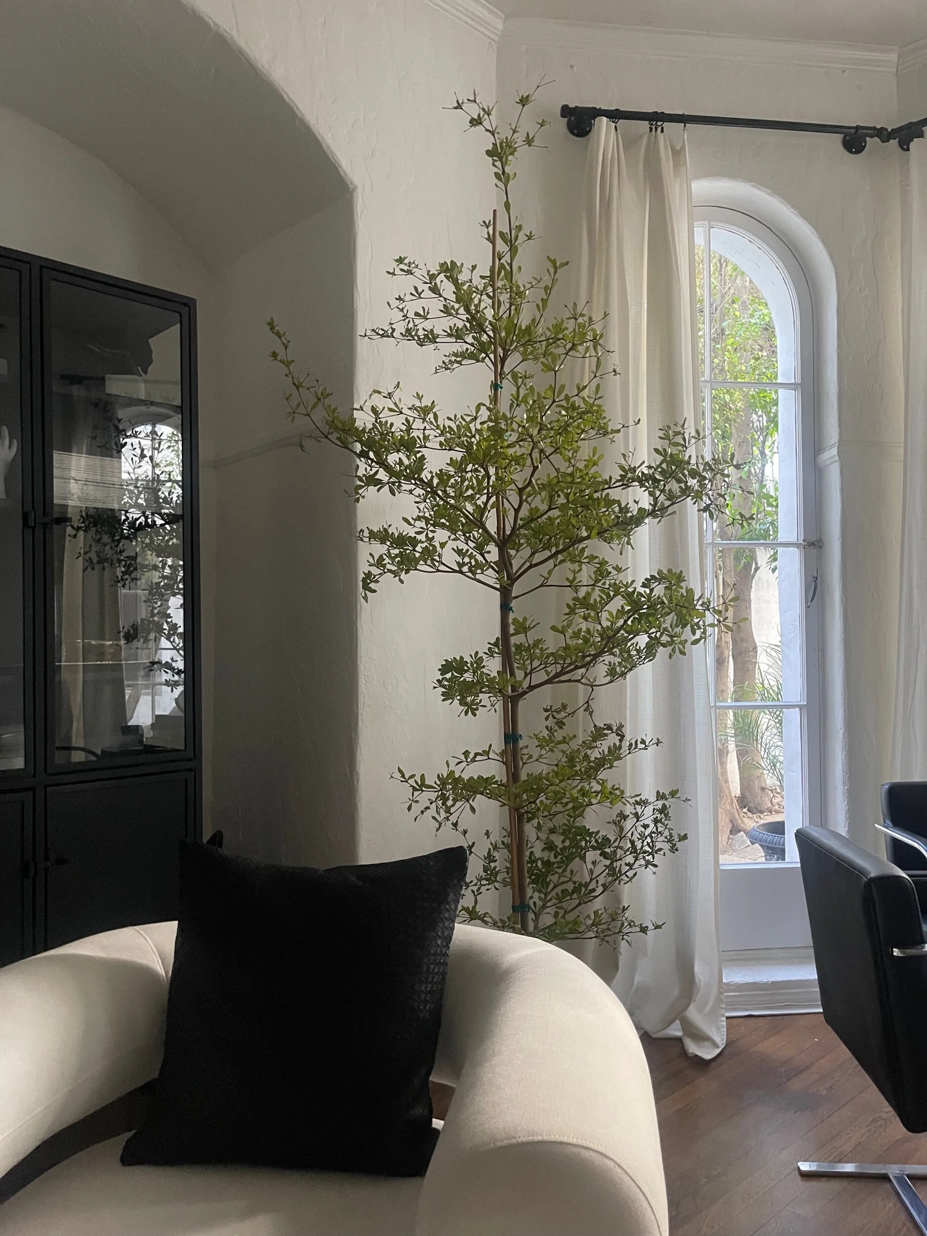 FC5A8B1F-933C-4B3E-AFC6-97D9E1C6D46F