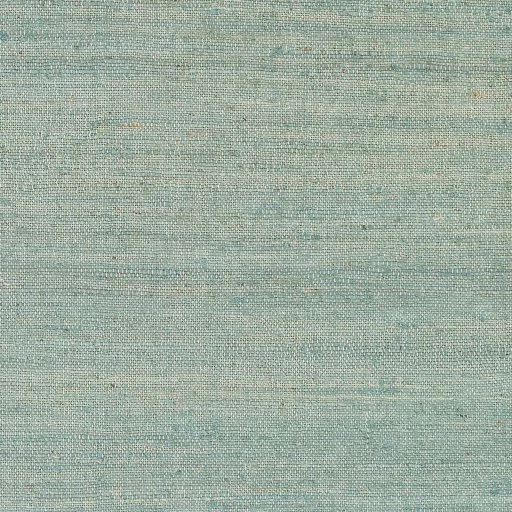 costa_rug_light sage_swatch.jpg