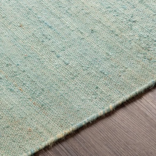 costa_rug_light sage_exture.jpg