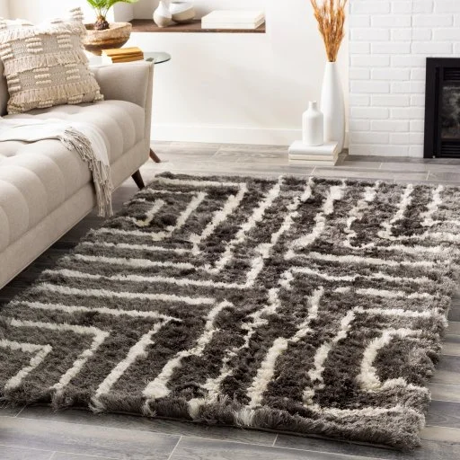 Plush Pile Striped Modern Indoor Shag Rug Living Room