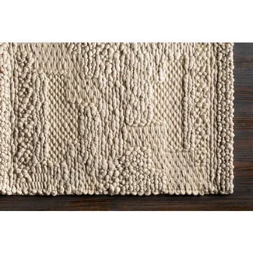 Coastal Hand Woven Ivory Wool indoor Rug