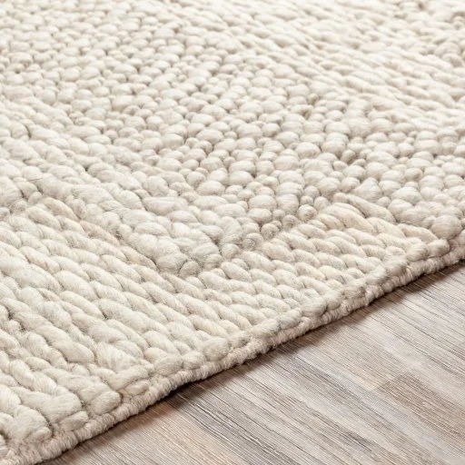 Coastal Hand Woven Ivory Wool indoor Rug