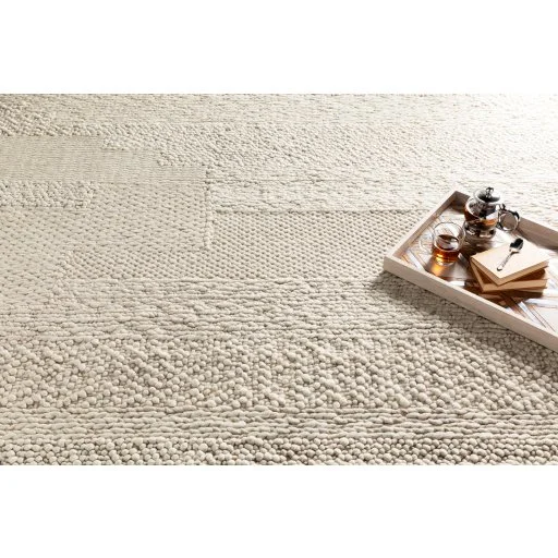Coastal Hand Woven Ivory Wool indoor Rug
