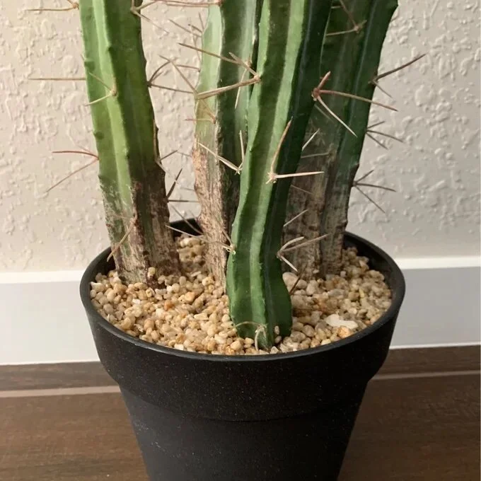 0DE1B03F-F64C-4157-888A-D546E5D0F1CC