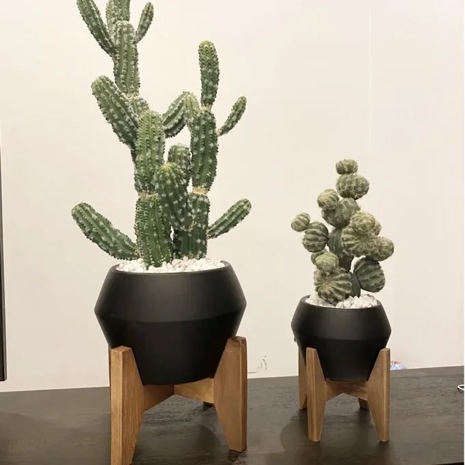 306E07B2-EAB6-4F84-96CE-04EB2AE811E5