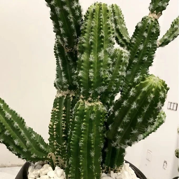 E279C68F-1C1D-402E-BB84-58F5AE7B13F6