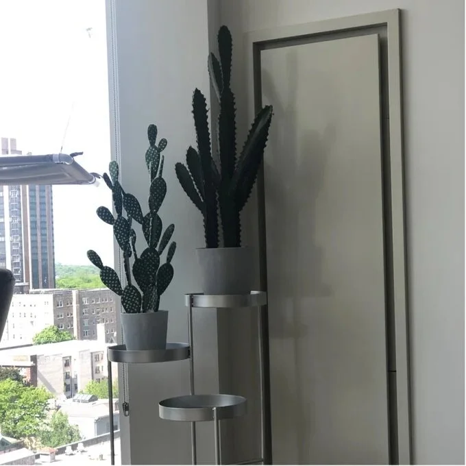 41A96DF1-752A-47BF-953A-E2538D8AEA6F