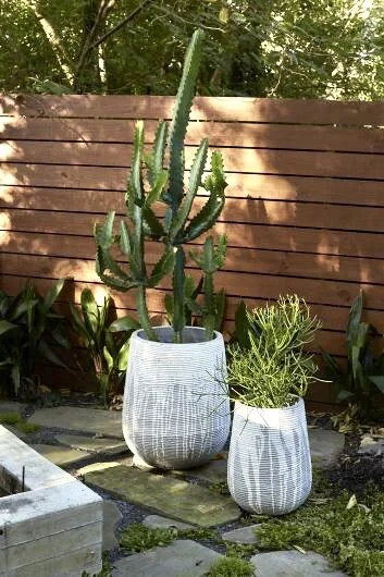 F2B8DE37-4D08-48DA-9277-16772BB8059C