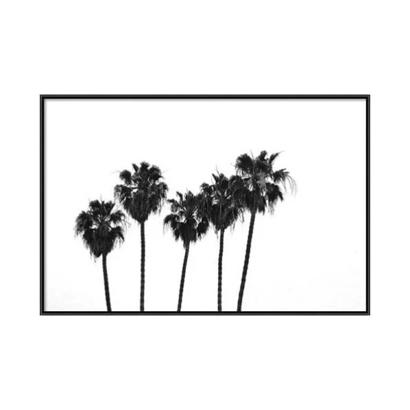 Black and White Framed Palm Tree Print