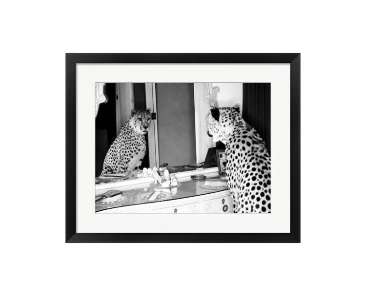 Black and White Vogue Cheetah Vanity Mirror Framed Art Print