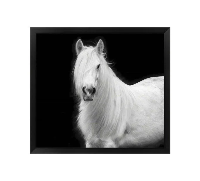 Black and White Equine Horse Portrait V Framed Art Print