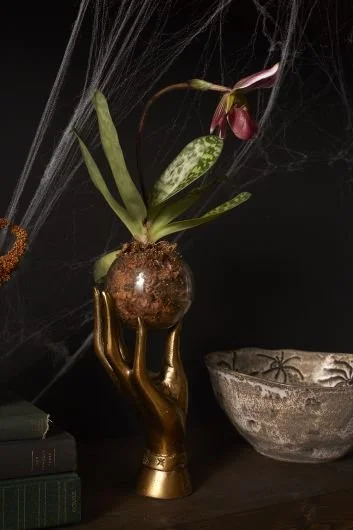 Gold Bronze Hand Halloween Terrarium