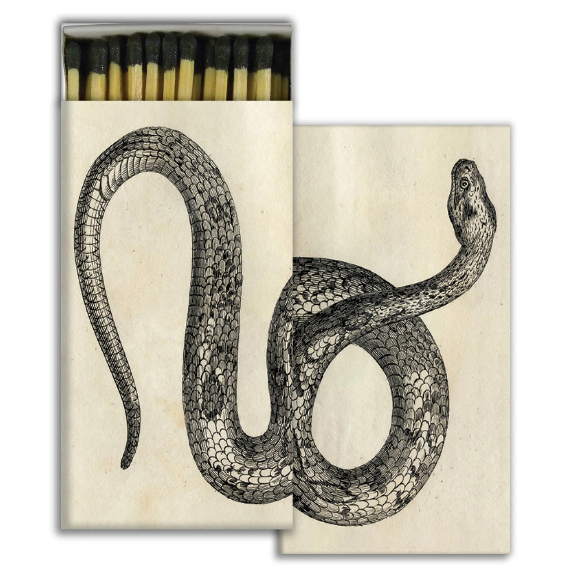 Snake Match Box Set