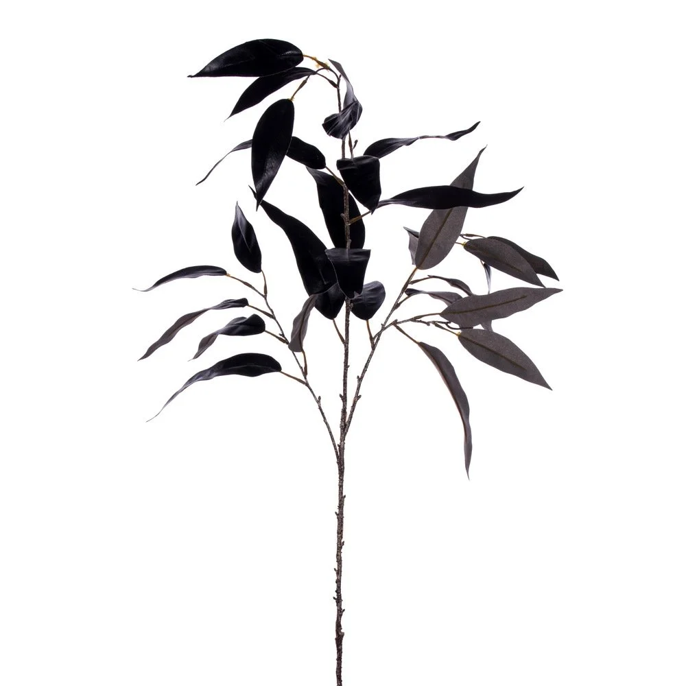 Black Eucalyptus Leaf Stem