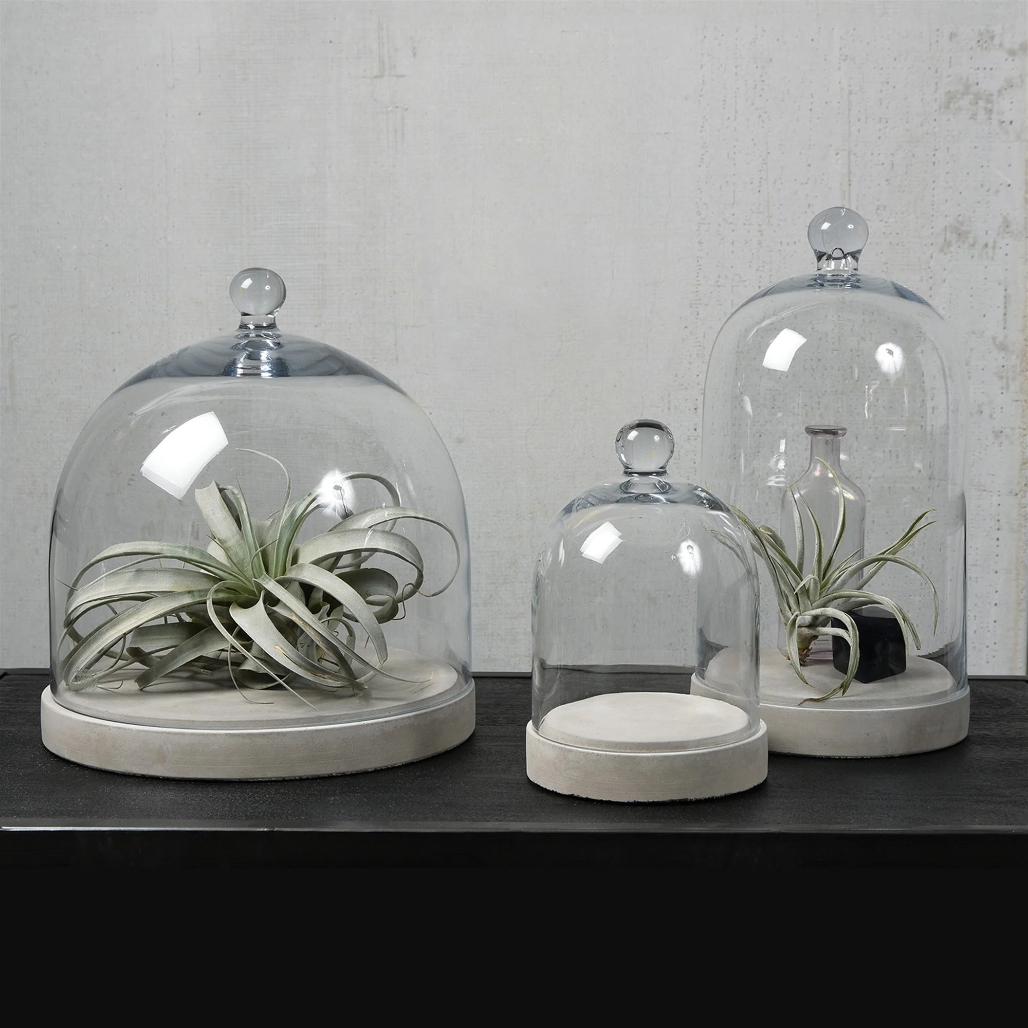 Apothecary Clear Glass Cloche Collection