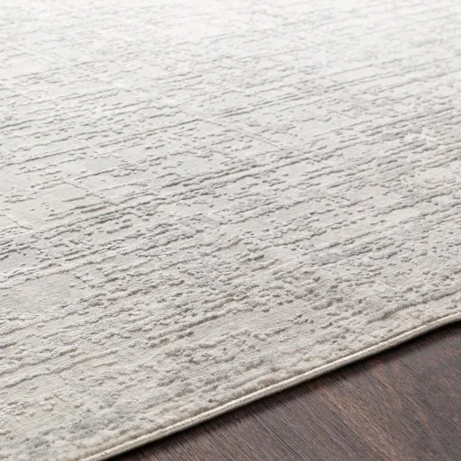 ais2305-texture.jpg
