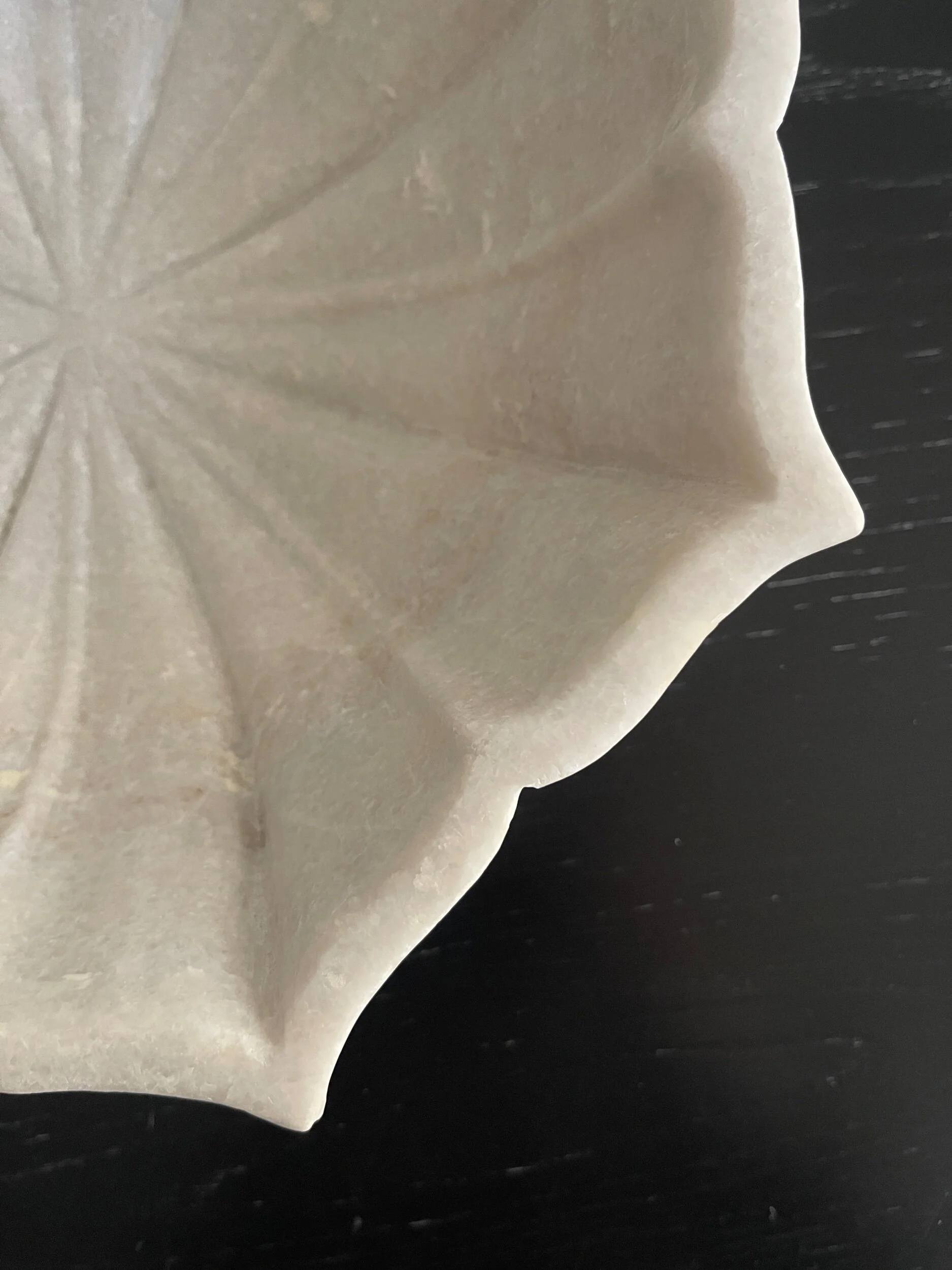 21692F05-71AB-4DD7-9EB1-4B87D9514D4A