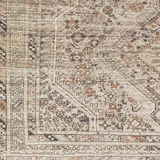Chenille Machine Washable Rug Tan swatch.jpg