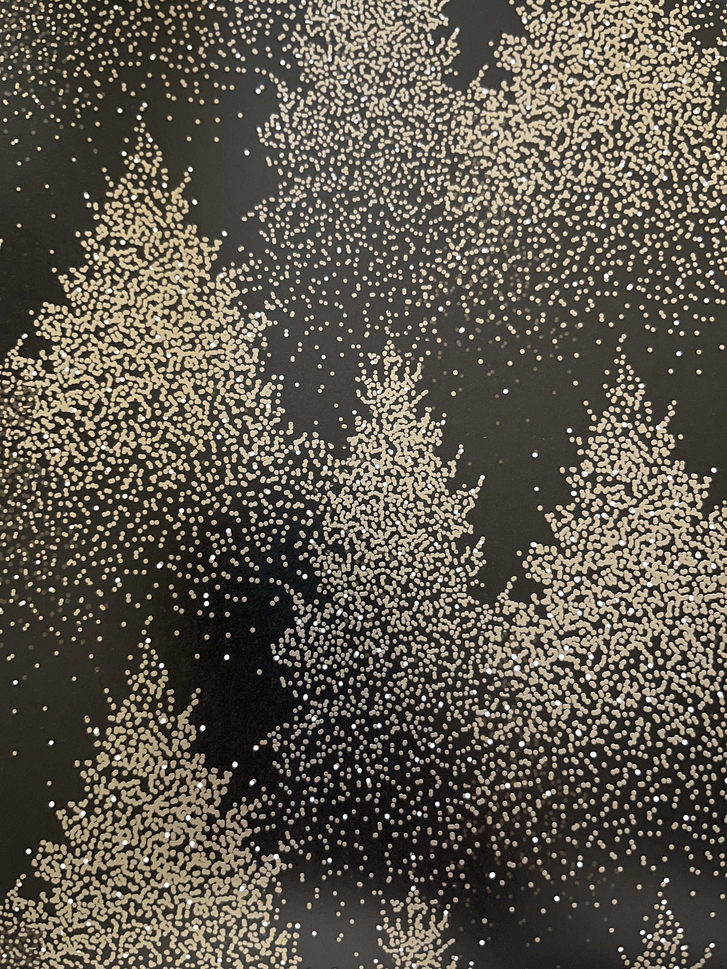 blackandgold_giftwrap_trees_sheet_franklinave.JPG