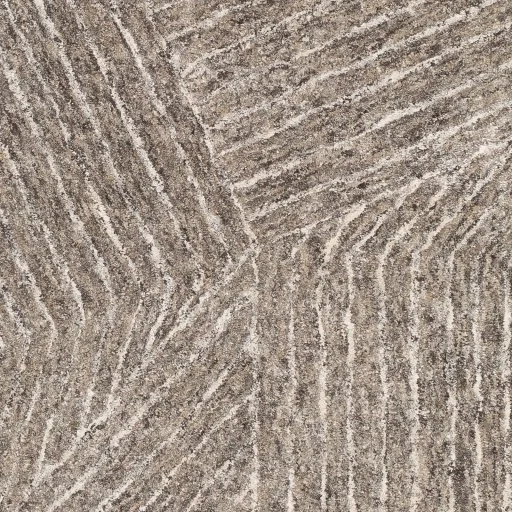 flc8003-swatch.jpg