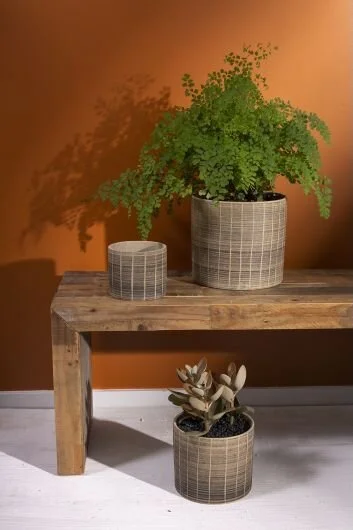 7E69CFF9-85F7-4CCE-9A73-E608E8BBC890