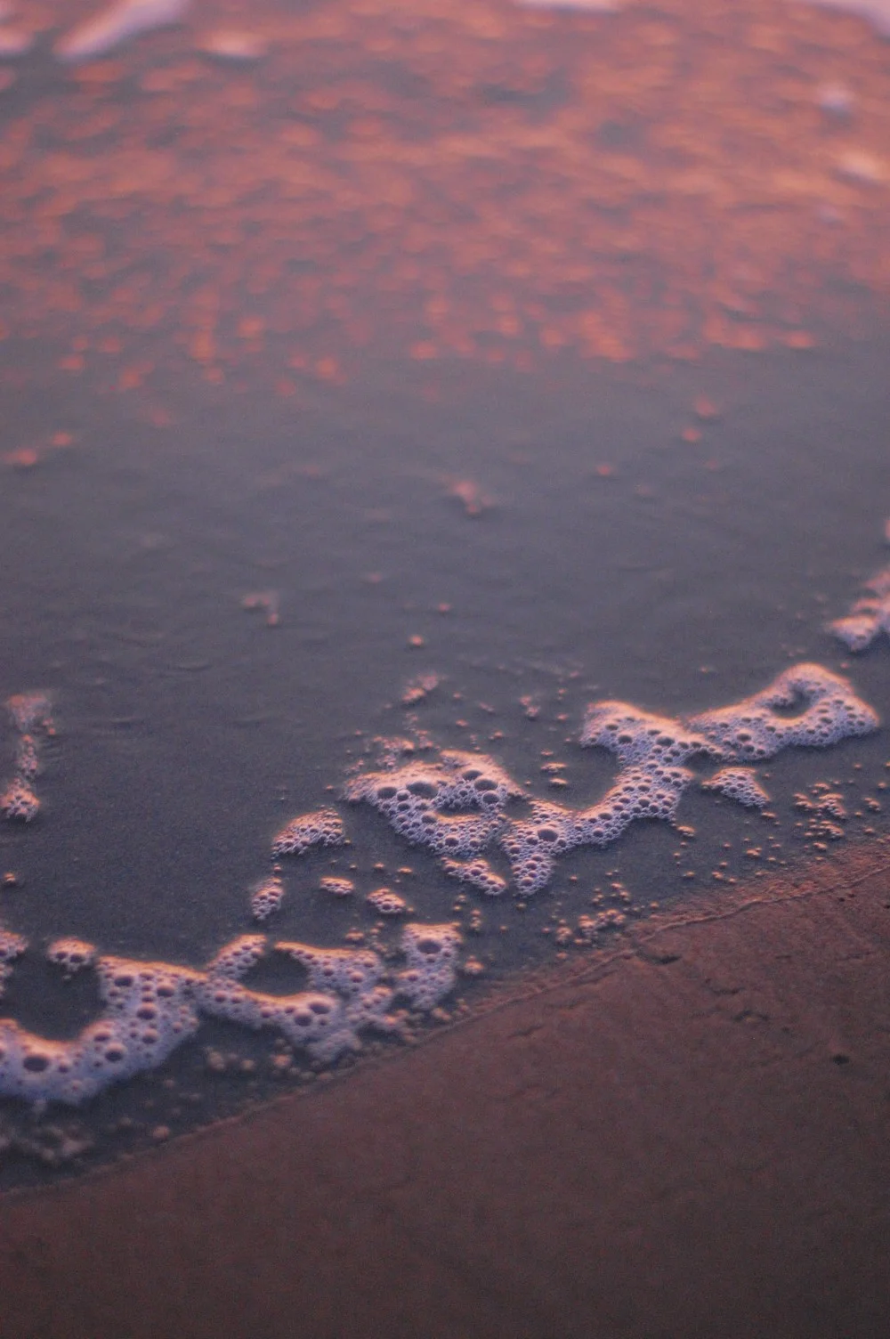 7121540675_eea41200c0_o.jpg