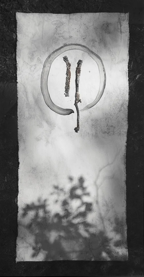 Circle and Sticks