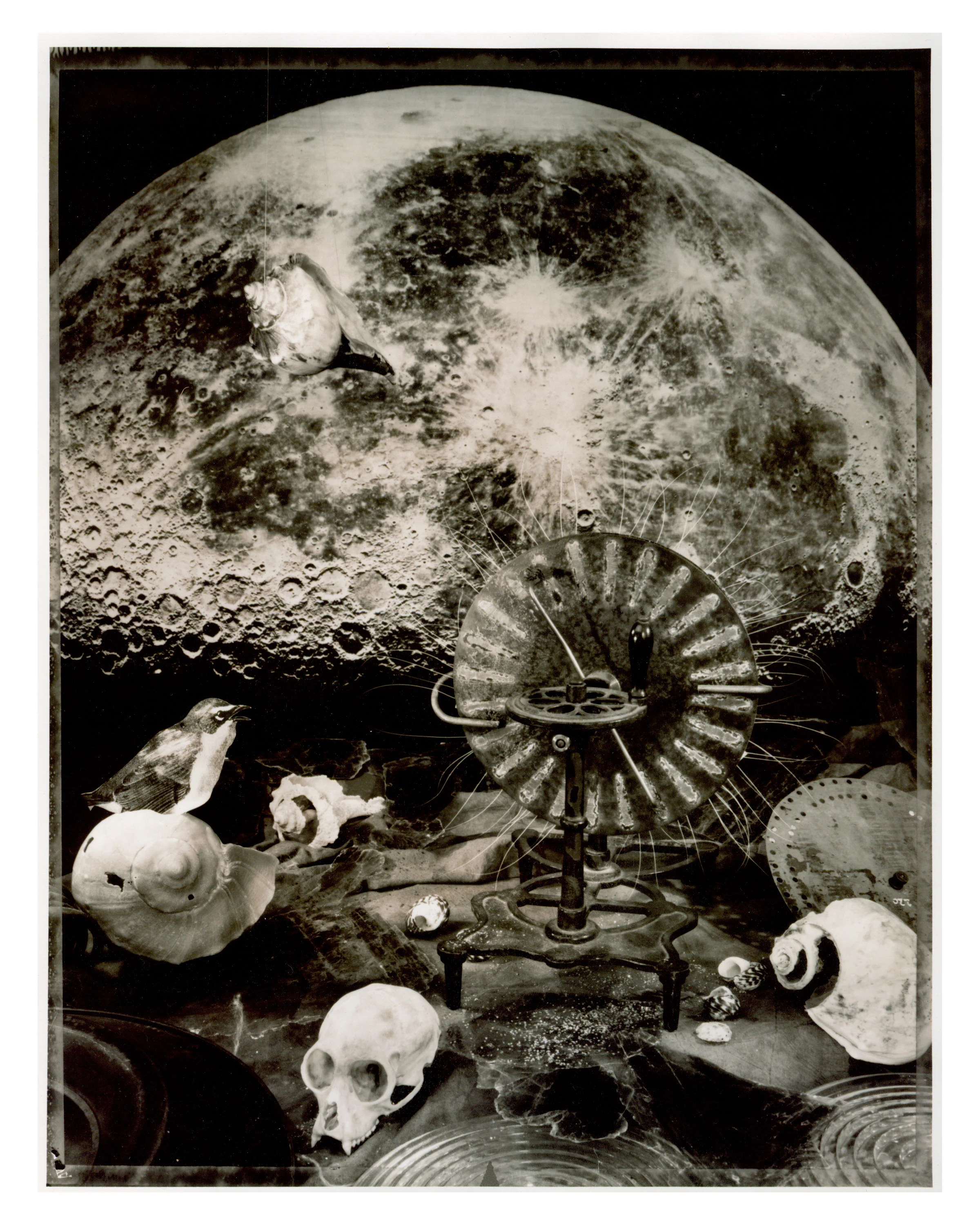 Moon at Last Quarter