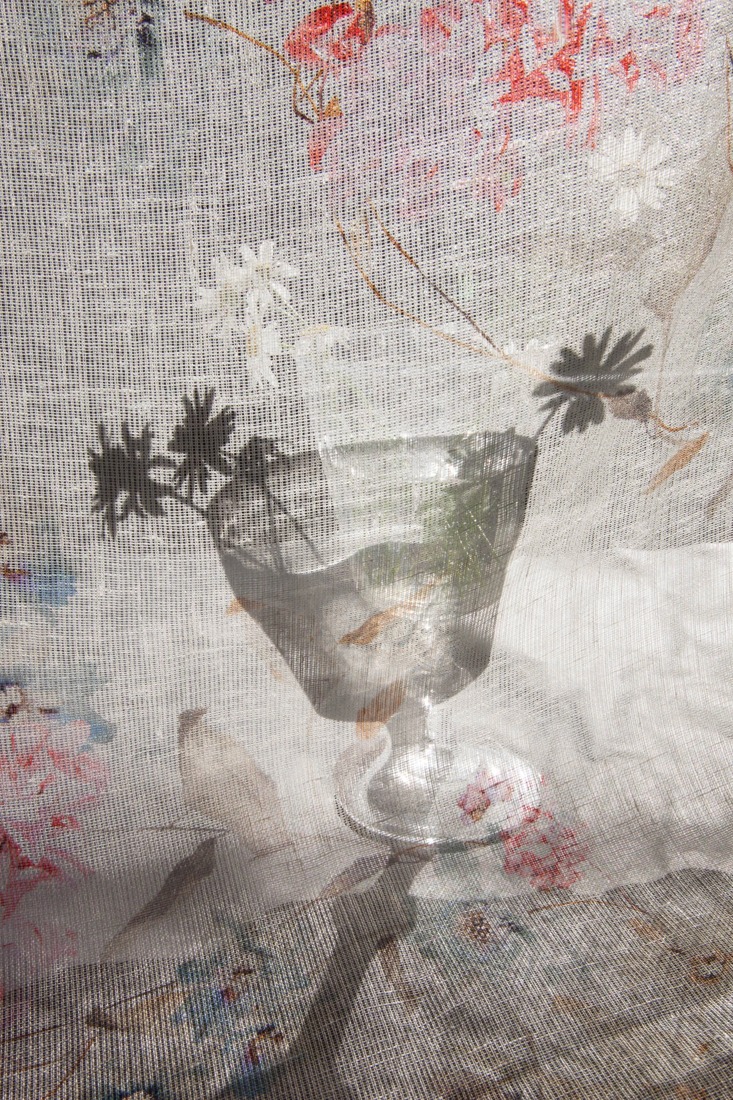 Daisy Cup