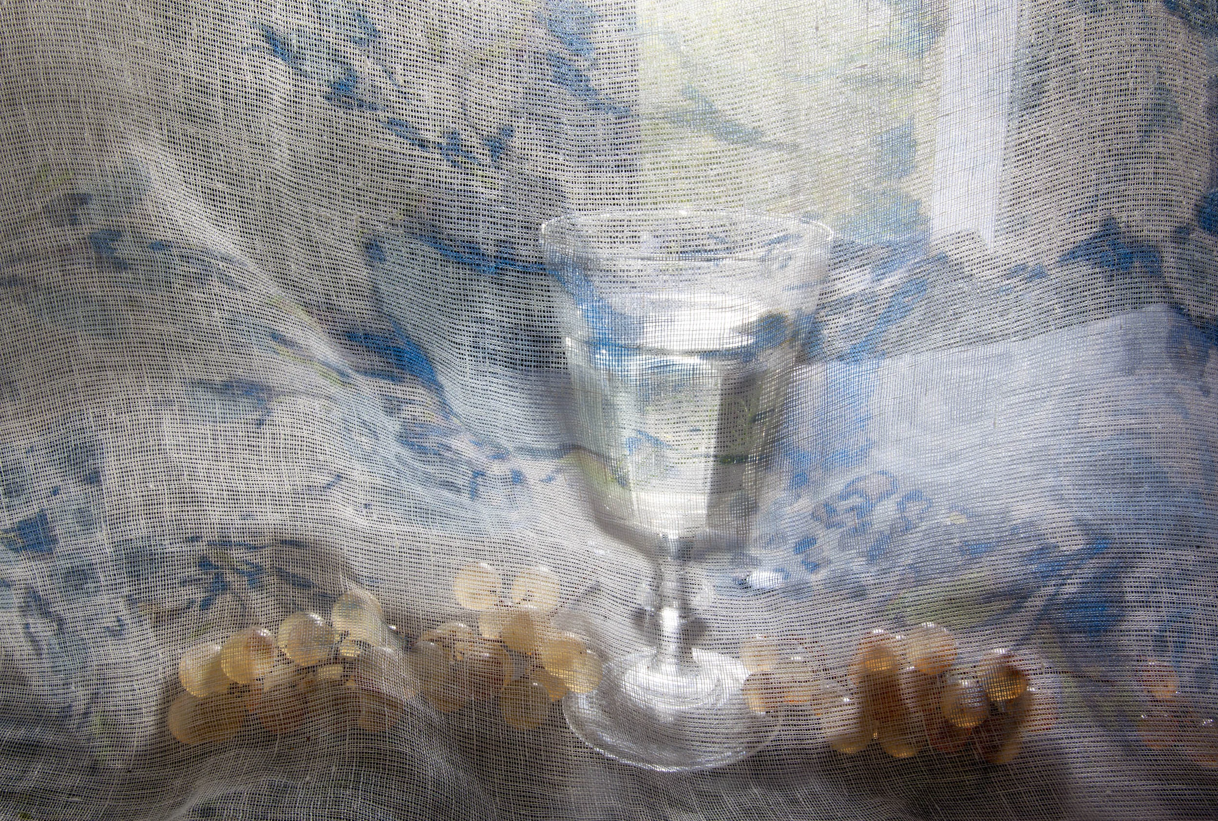 Grapes and Water