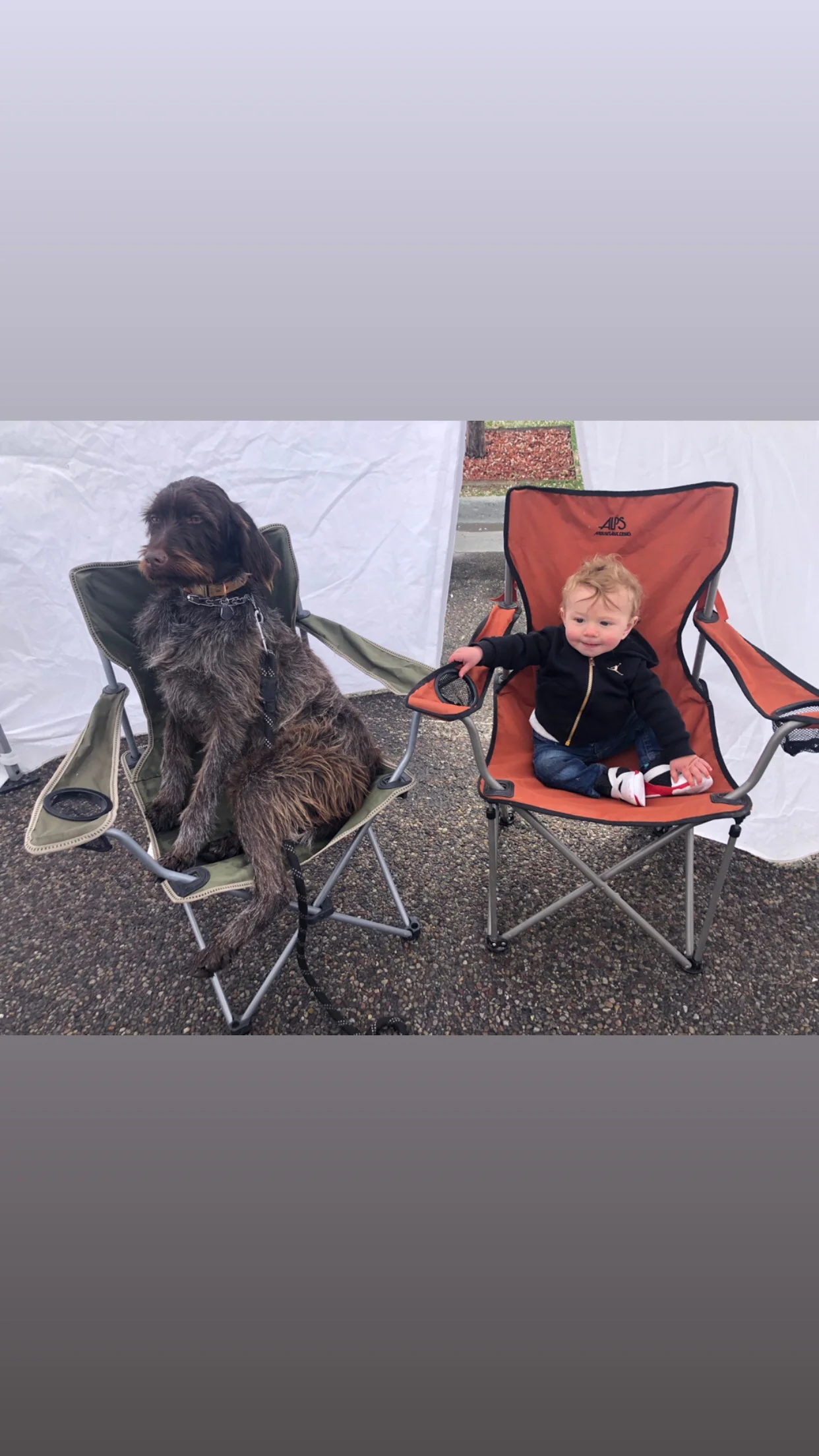 Just hanging out at the Idaho Falls Farmers Market