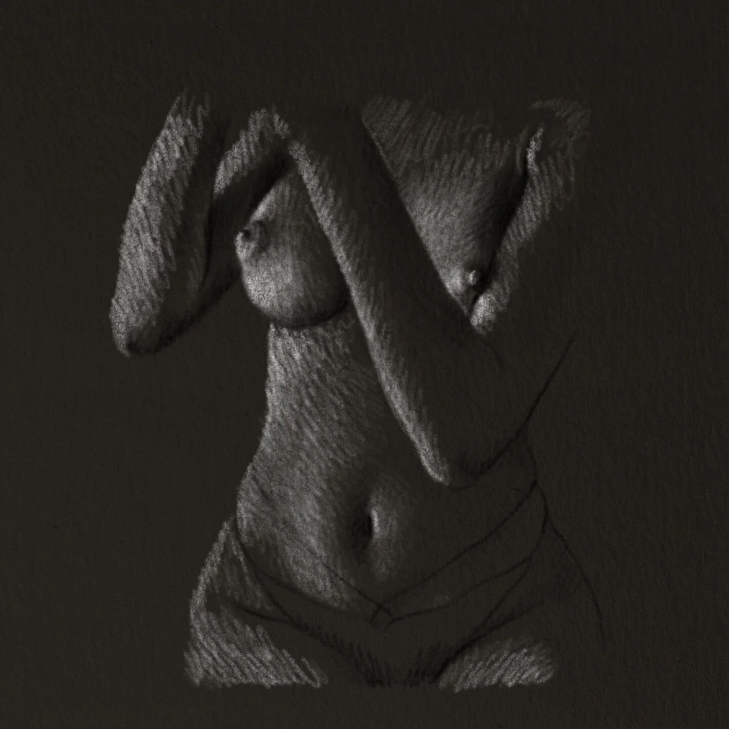 It took years (perhaps decades) to realize that I prefer drawing highlights than drawing shadows. Since most paper is white, we take it as default that drawing is about building shadows. Highlights are just the parts of the paper you don&rsquo;t draw