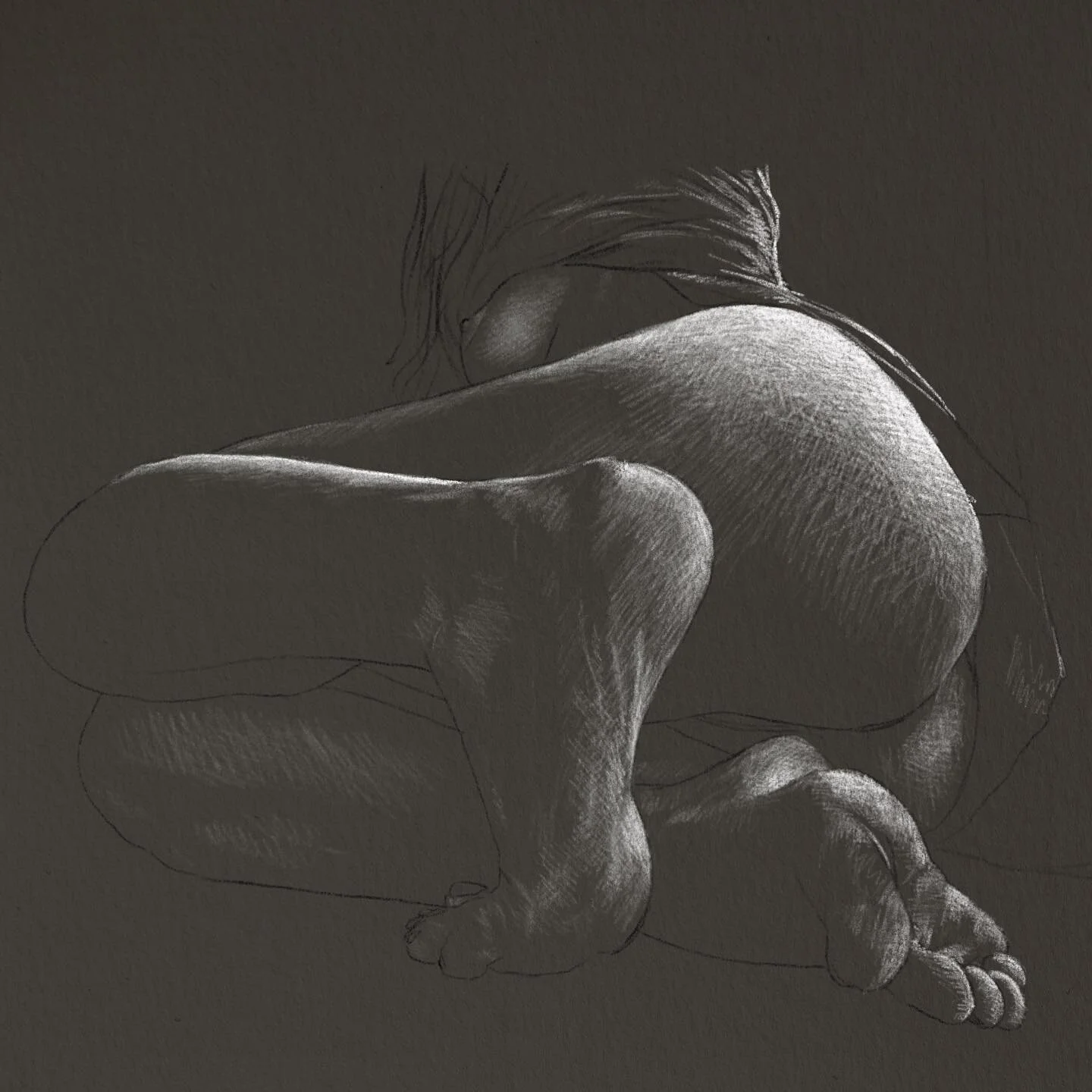 Sometimes leaving the work &ldquo;unfinished&rdquo; can be satisfying. Is the tonal range here incomplete? Probably. Is it fun to draw in only highlights? Absolutely. 
#drawinghighlights #figuremodel #lifedrawing #remoteart #drawings #sketchbook #qua