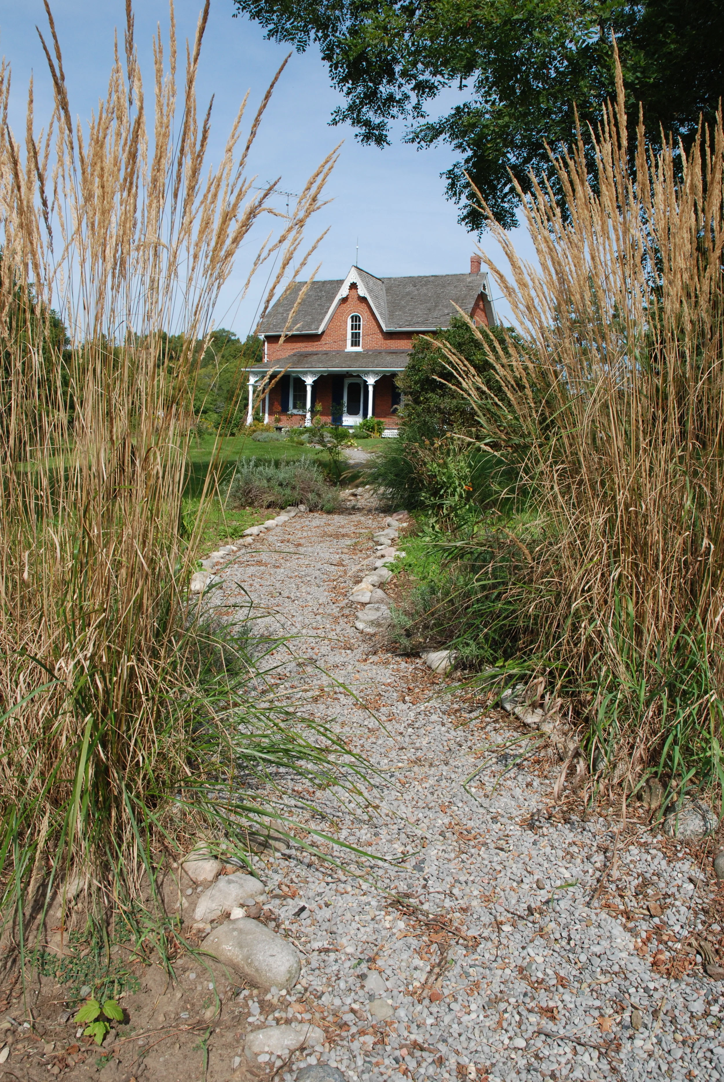 house long shot.JPG