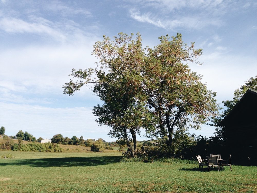 backyard table.jpg