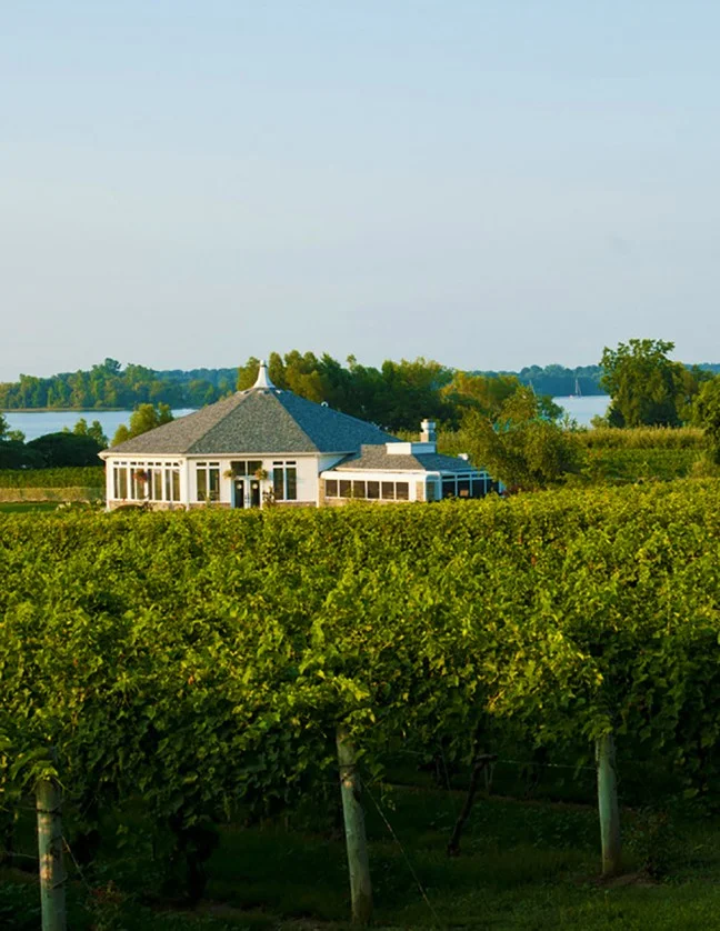 prince edward county