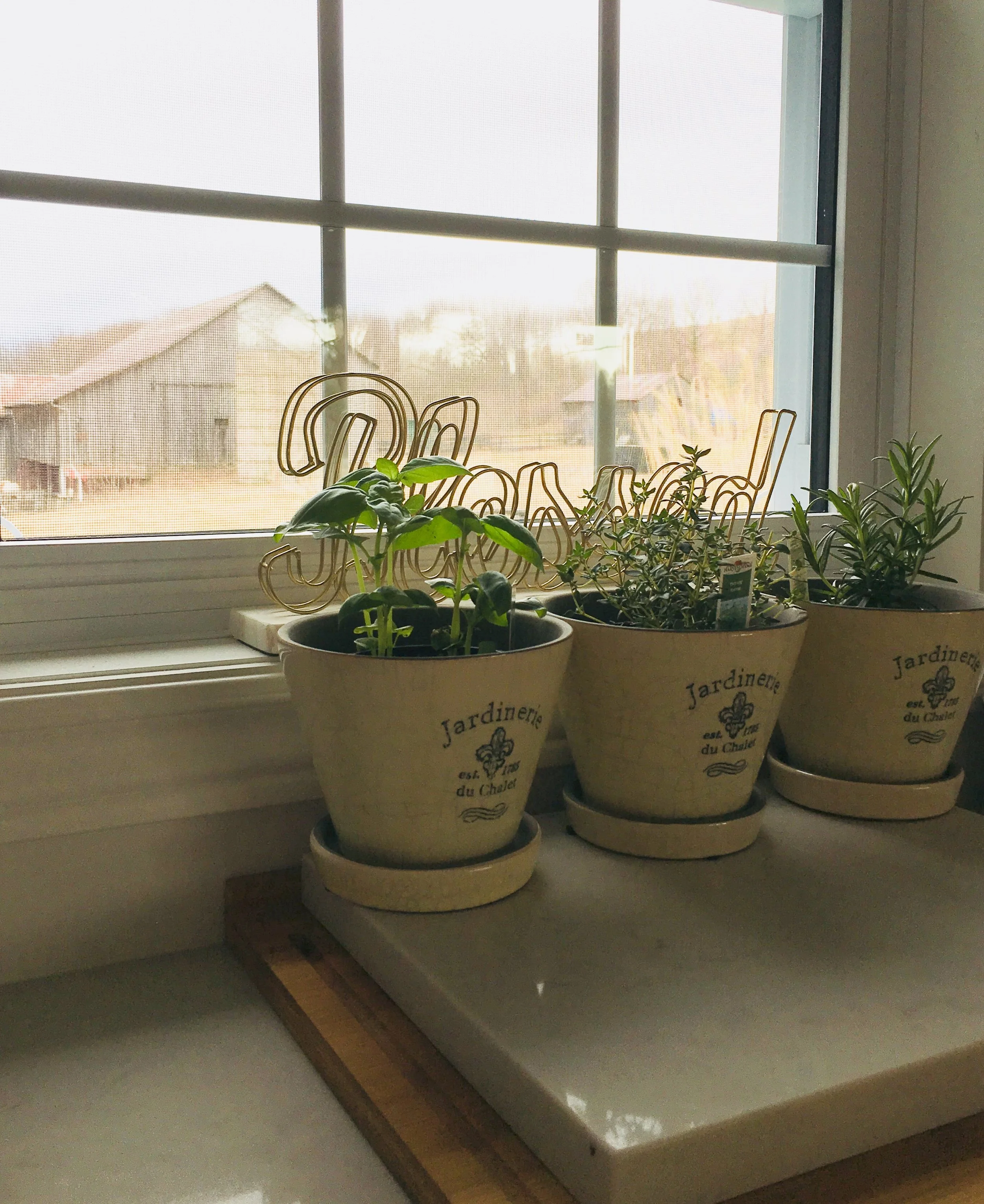 window herbs.jpg